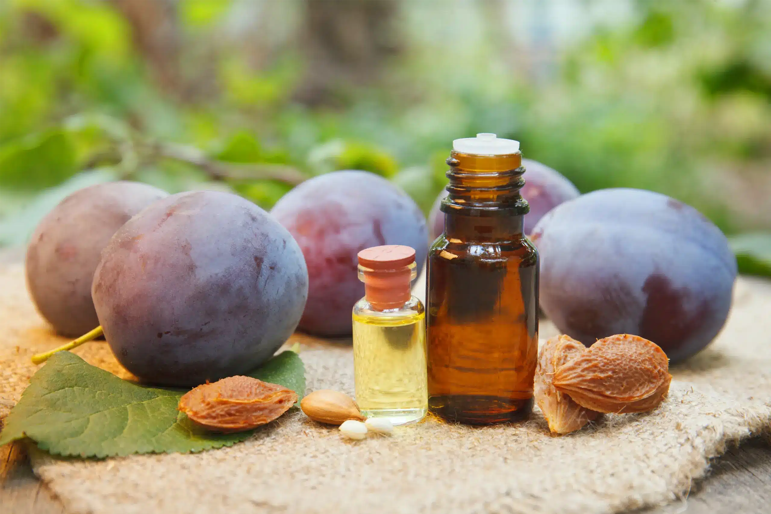 Huile de prune, exceptionnelle pour la peau - Camille GabyLore